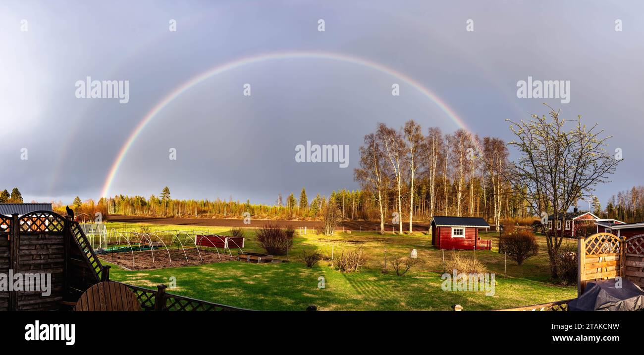 Scenic wide rainbow panorama over countryside with fresh green lawn, garden, fresh ploughed field and pine tree forest at horizon. Sweden Stock Photo