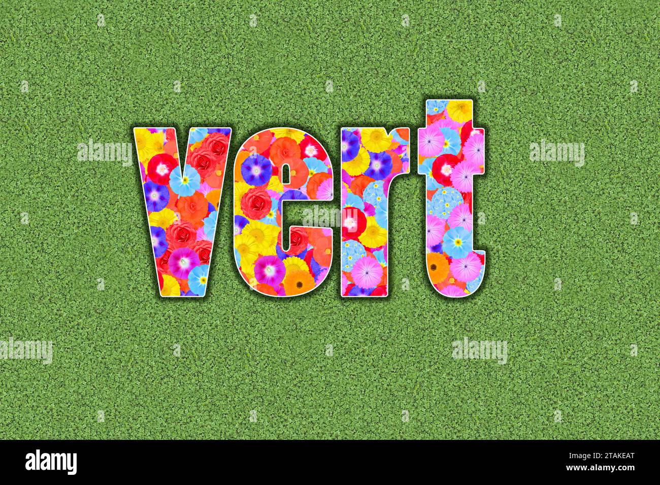 word green in french language vert written with flowers Stock Photo Alamy