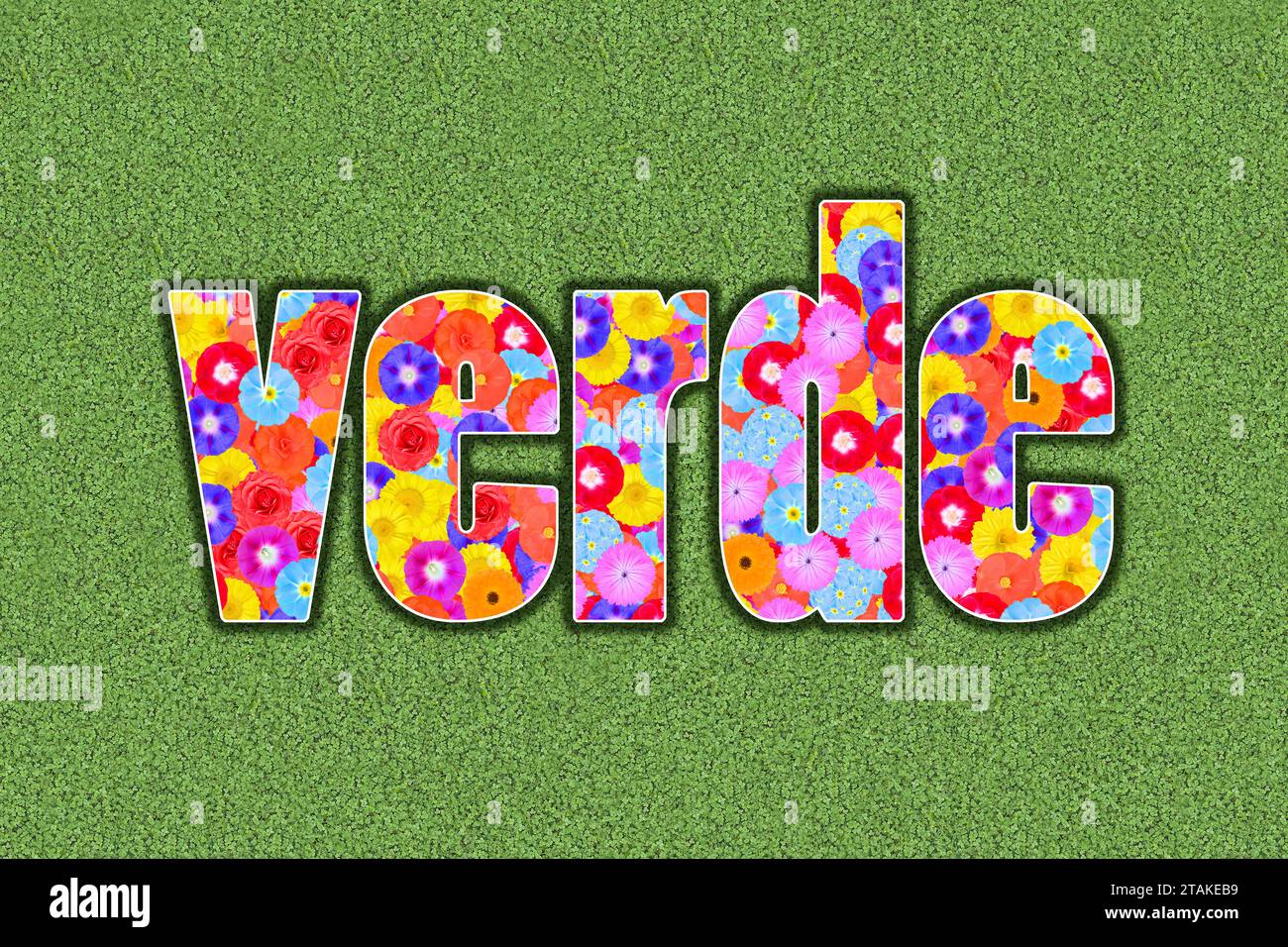 word green in spanish language verde written with flowers Stock Photo
