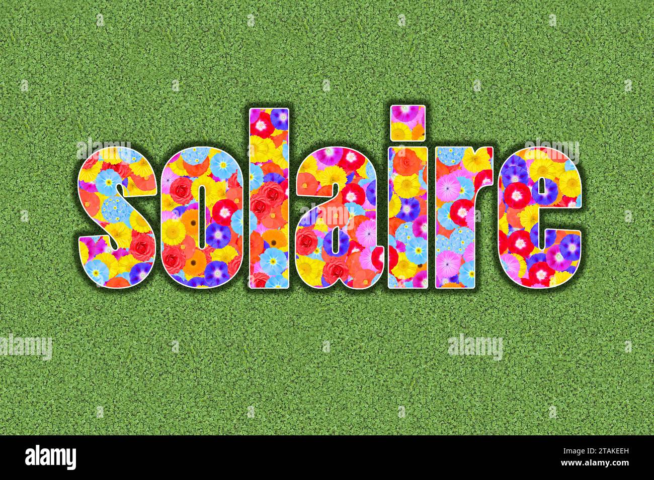 french word solaire written with flowers Stock Photo - Alamy