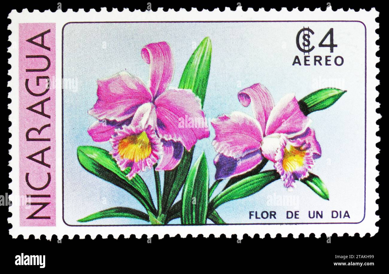 MOSCOW, RUSSIA - NOVEMBER 17, 2023: Postage stamp printed in Nicaragua shows Flora de un Dia (Cattleya skinneri), Flowers serie, circa 1979 Stock Photo