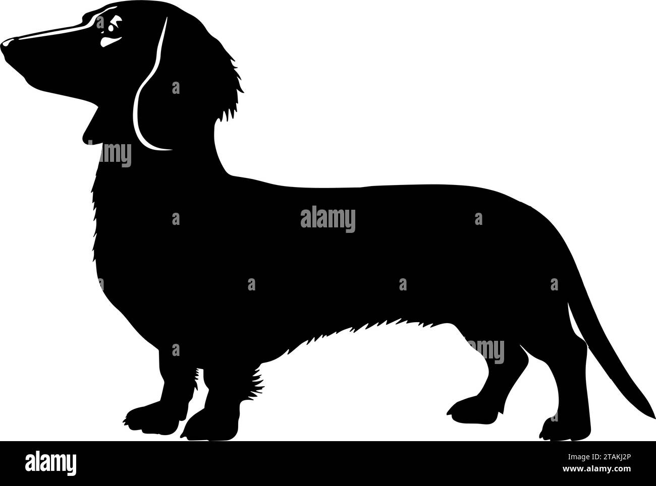 Dachshund Dog silhouette. Vector illustration Stock Vector
