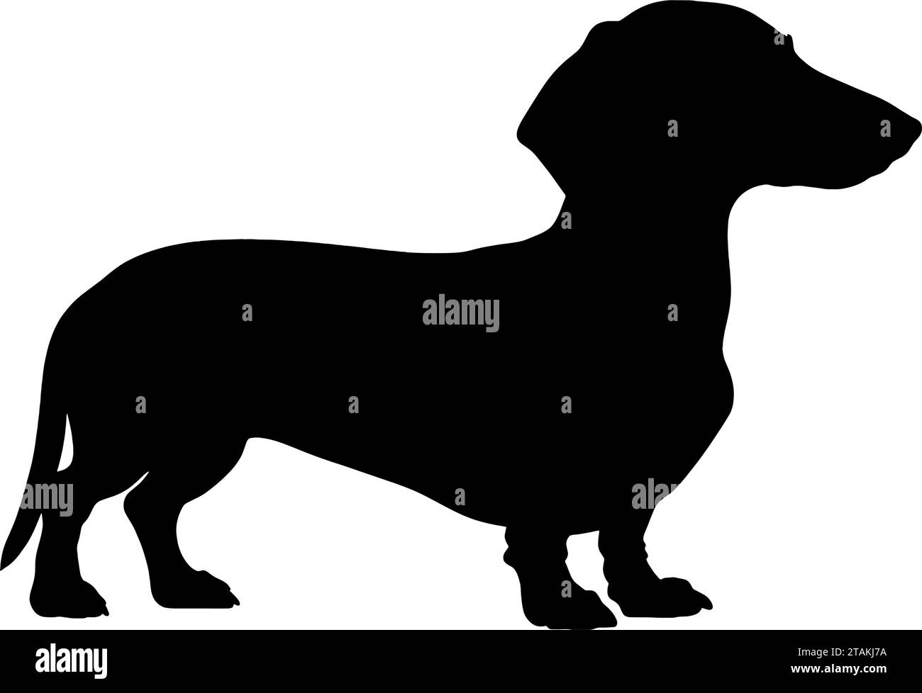 Dachshund Dog silhouette. Vector illustration Stock Vector Image & Art