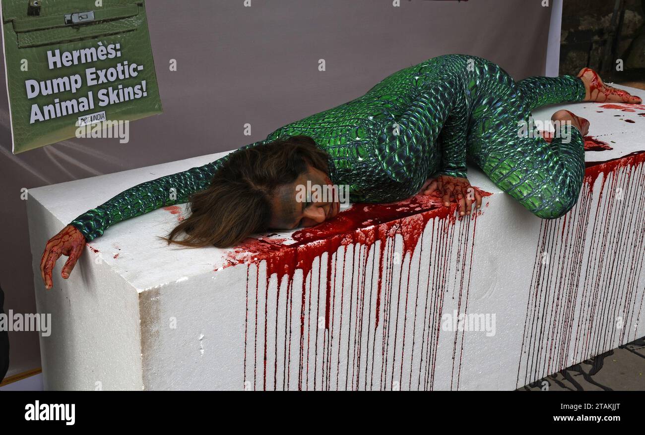 Mumbai, India. 01st Dec, 2023. Activist for the Ethical Treatment of Animals (PETA India) director Poorva Joshipura wearing a alligator-skin costume and lying in a pool of (fake) blood on a thermocol table is seen outside the French fashion store 'Hermes' in Mumbai. The PETA India director Poorva Joshipura calls on the French fashion house 'Hermes' to ban the use of alligators, crocodiles and other exotic animals who are tormented and killed for their skins to make leather bags and accessories by the brand. Credit: SOPA Images Limited/Alamy Live News Stock Photo