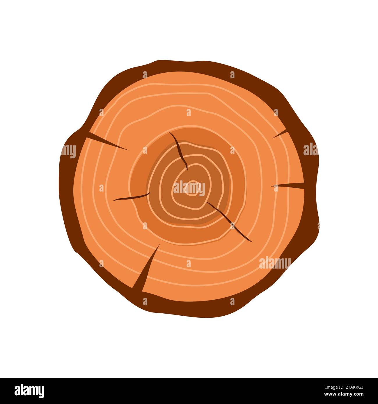 Cross section of tree stump in flat style isolated on white background. Tree trunk cross section natural cut wood slice circle timber ring. Vector ill Stock Vector
