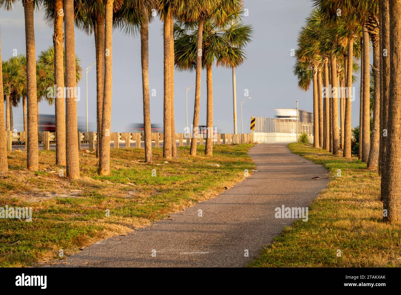walking trail among palm trees along Sunshine Skyway highway across Tampa Bay, Florida Stock Photo