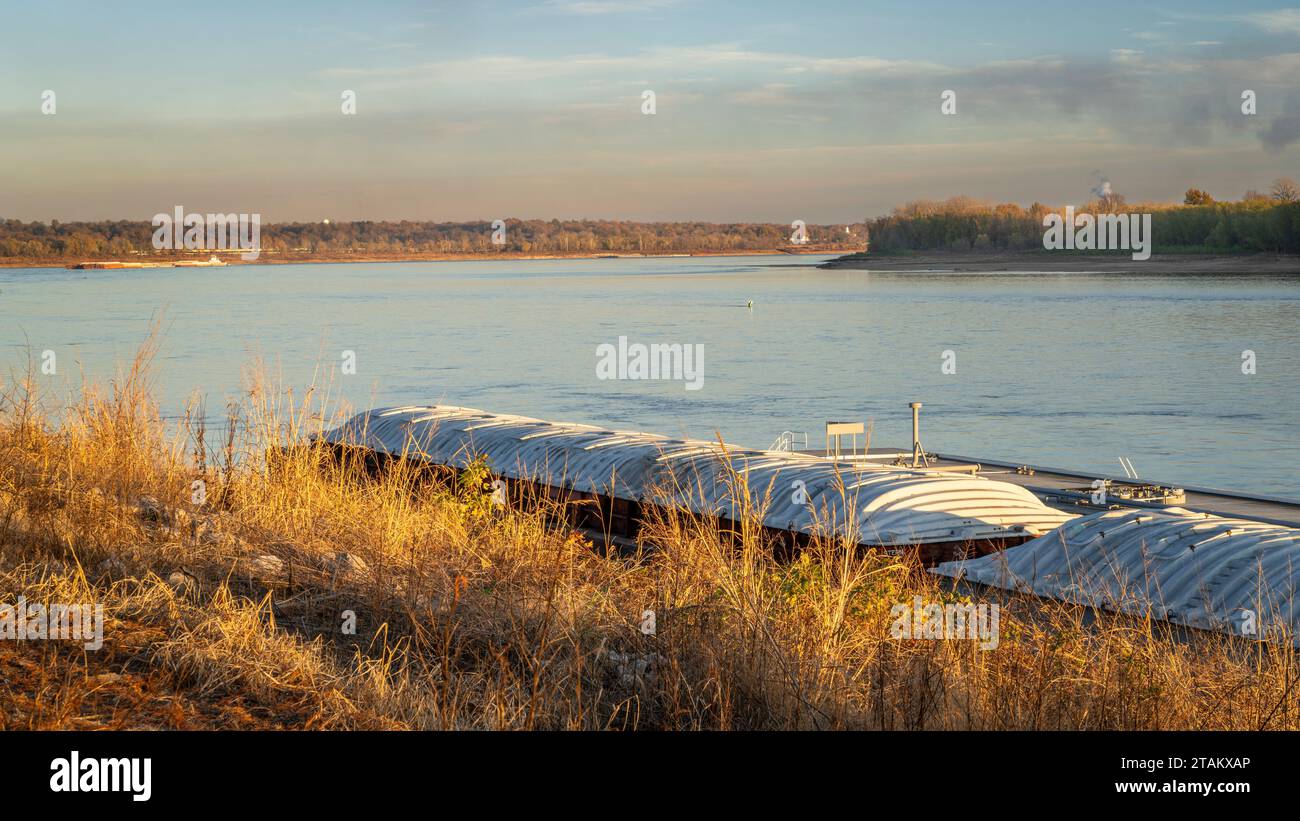 barges on the Mississippi River at confluence with the Ohio RIver below Cairo, IL, November scenery Stock Photo