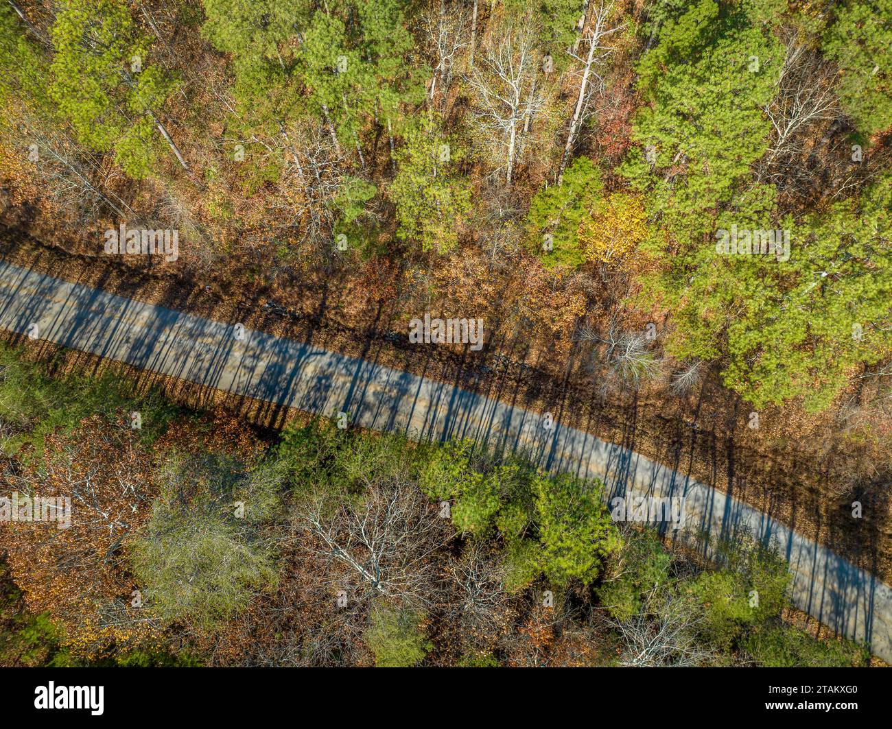 local highway through Alabama forest along the Tenessee River, Riverton Rose Trail, late November aerial view Stock Photo