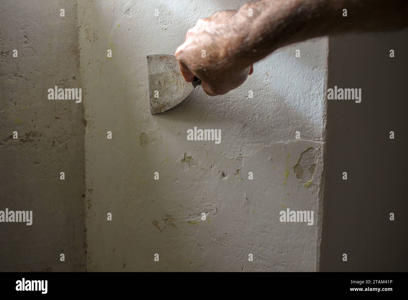 preparing a wall with a spatula to paint it white afterwards Stock Photo