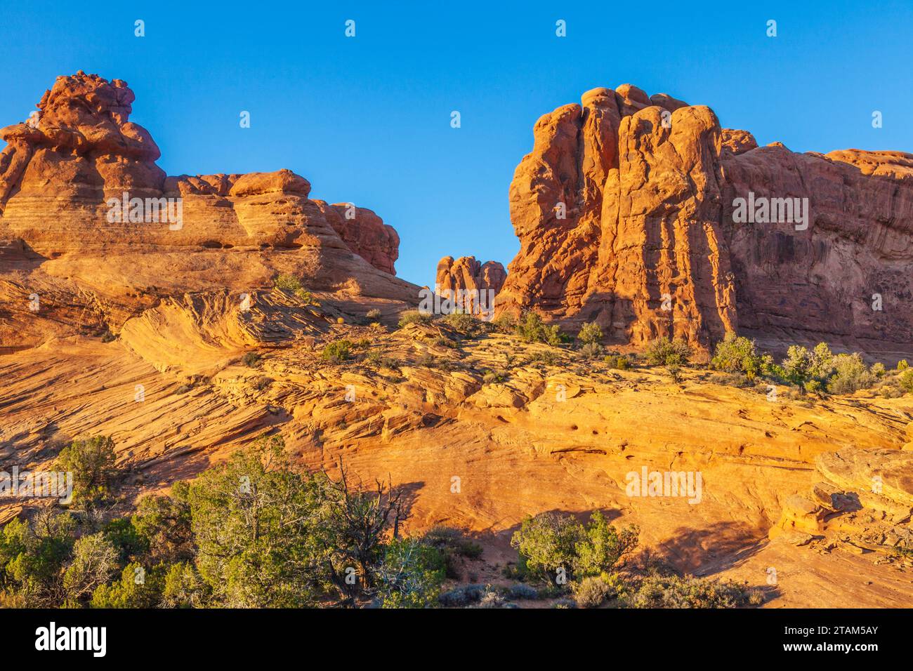 Sandstone rock formations in evening light in Arches National Park in Utah. Stock Photo