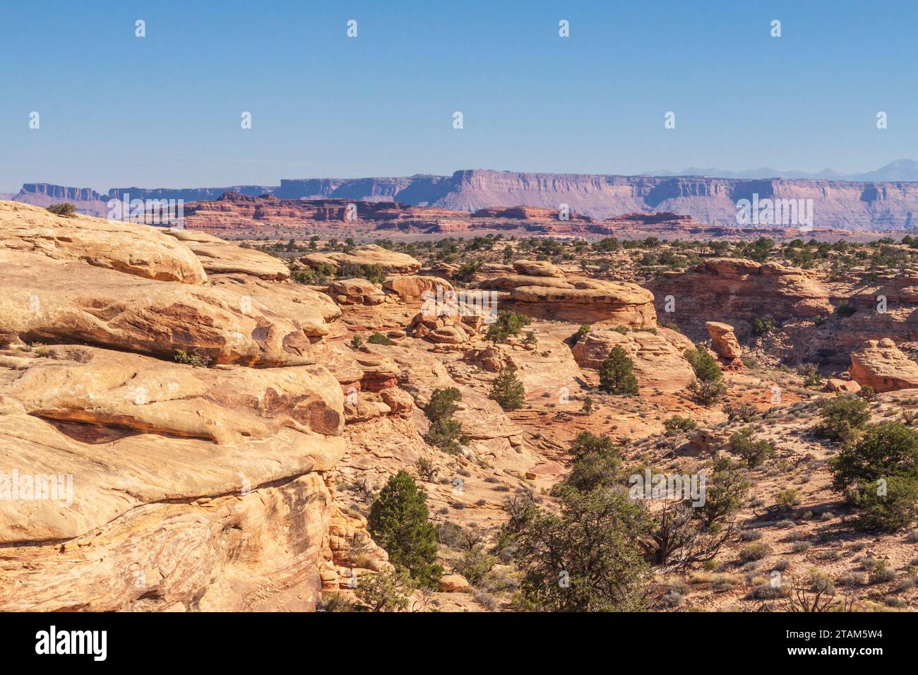 Needles District of Canyonlands National Park in Utah. Stock Photo