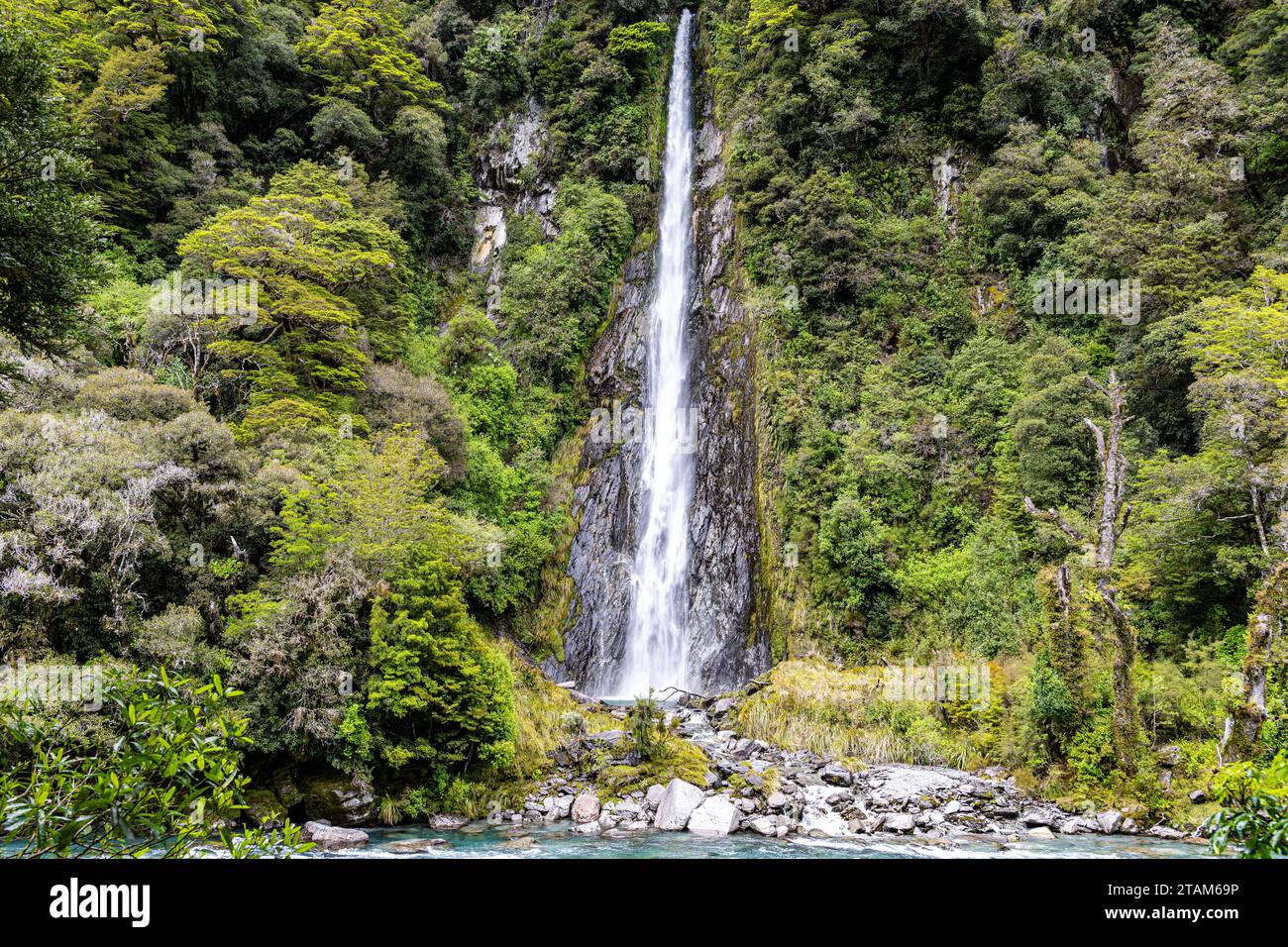 Thunderous roar comes from the aptly named Thunder Falls in New Zealand. Stock Photo