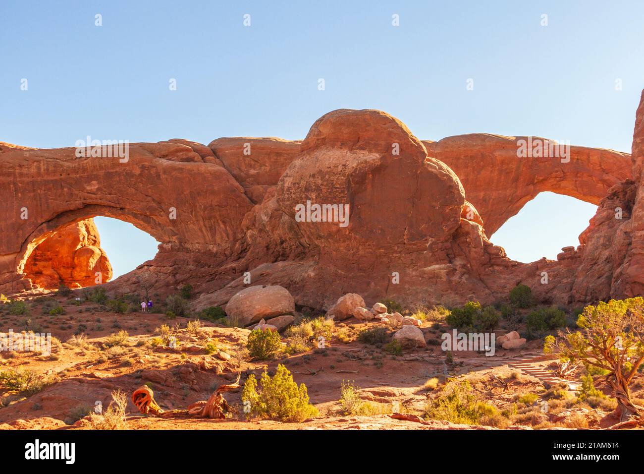 North and South Windows in early morning light at Arches National Park in Utah. Stock Photo