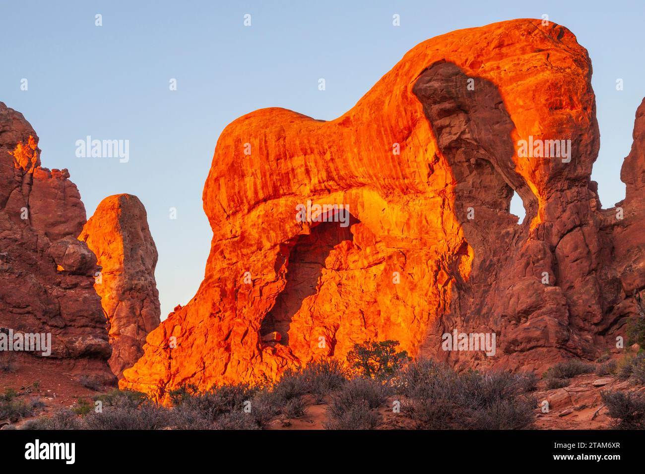 Parade of Elephants sandstone rock formations at sunrise in Arches National Park in Utah. Stock Photo