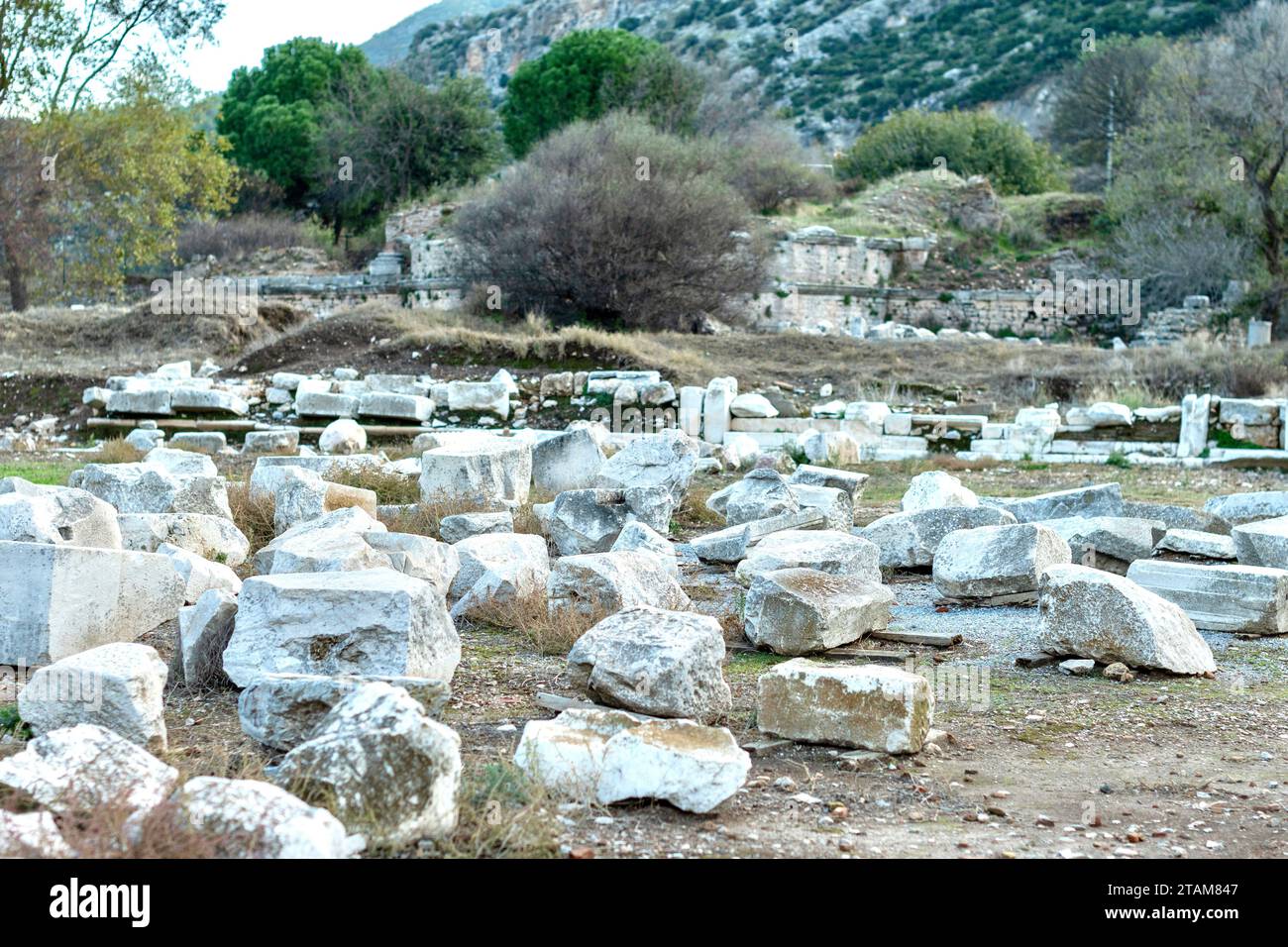 Elements of ancient architecture and ruins of Ephesus, Izmir.  Stock Photo