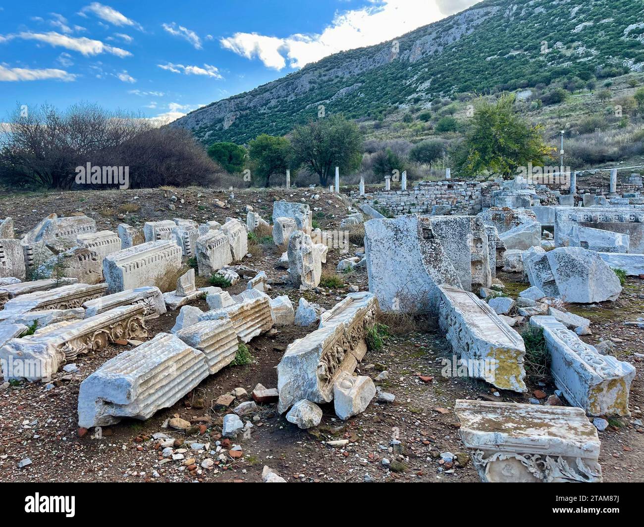 Elements of ancient architecture and ruins of Ephesus, Izmir.  Stock Photo