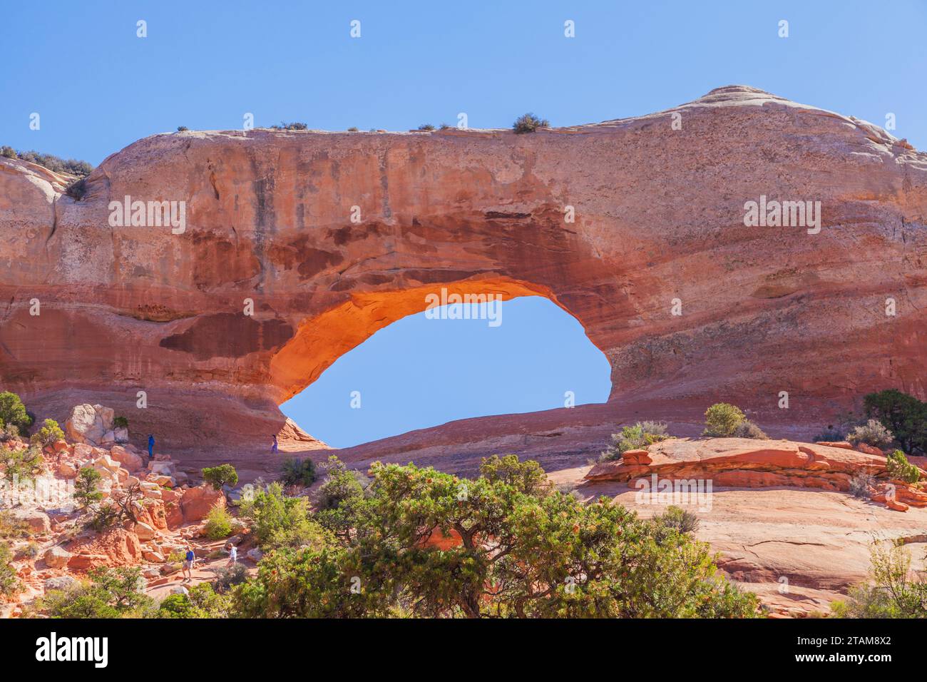 Located 24 miles south of Moab on US 191, Wilson Arch is a dramatic natural sandstone arch (called Entrada Sandstone). Stock Photo