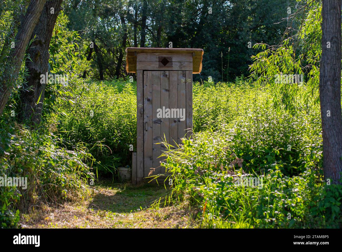 Wooden toilet in the forest in the summer. Stock Photo