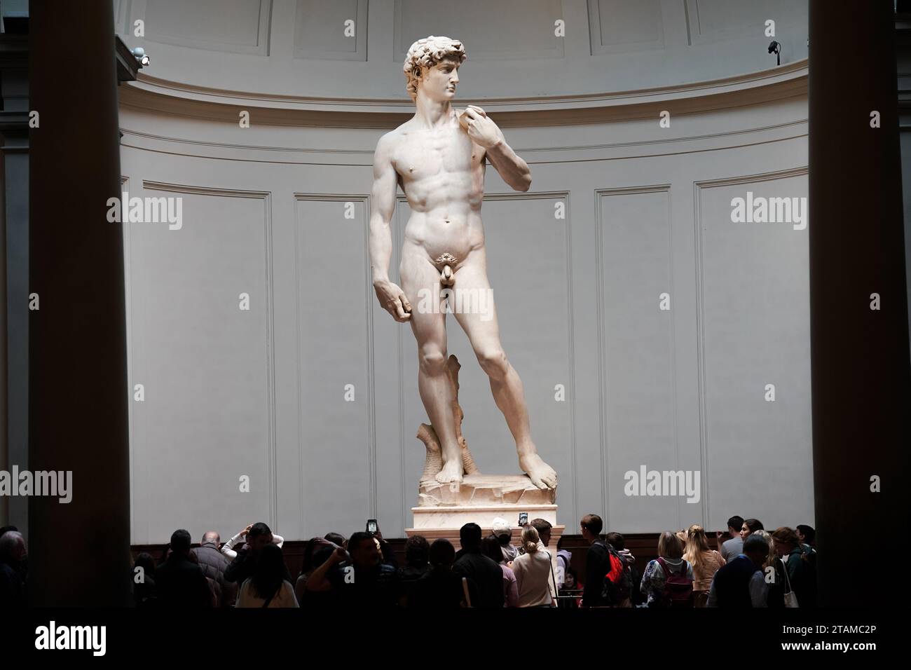 David is a masterpiece of Italian Renaissance sculpture, created from 1501 to 1504 by Michelangelo. Stock Photo
