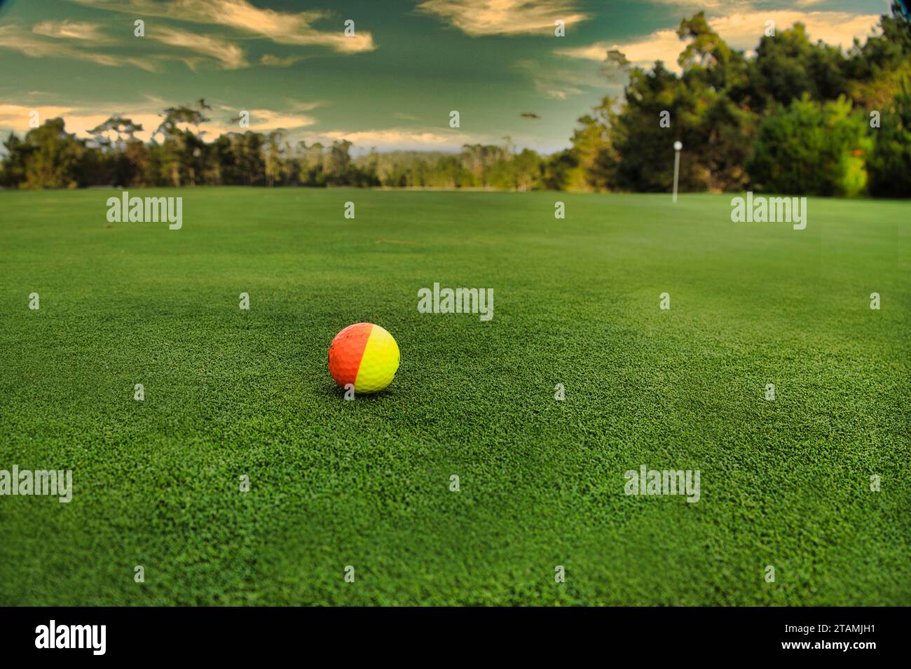 Pebble Beach, California, USA 1st December, 2023 Bicoloured golf ball waiting to be hit on the