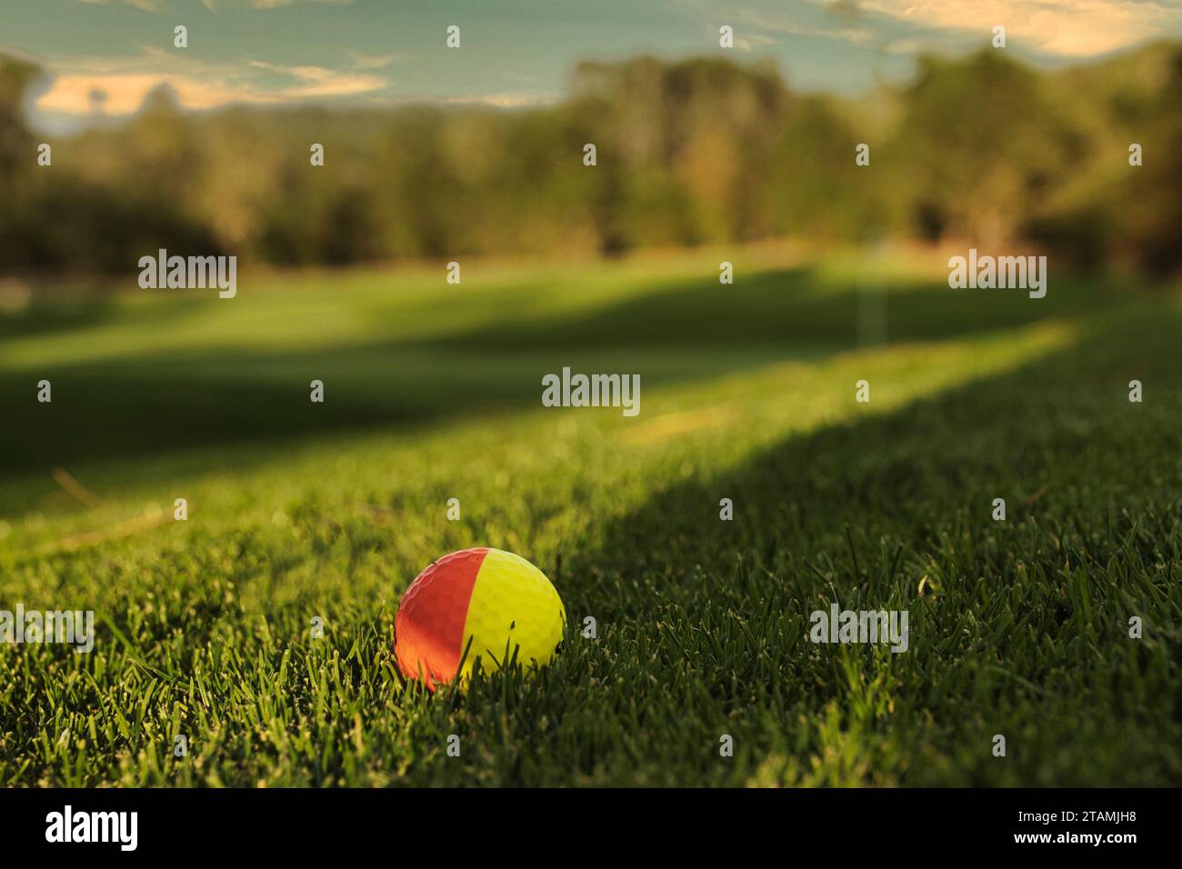 Pebble Beach, California, USA 1st December, 2023 Bicoloured golf ball waiting to be hit on the