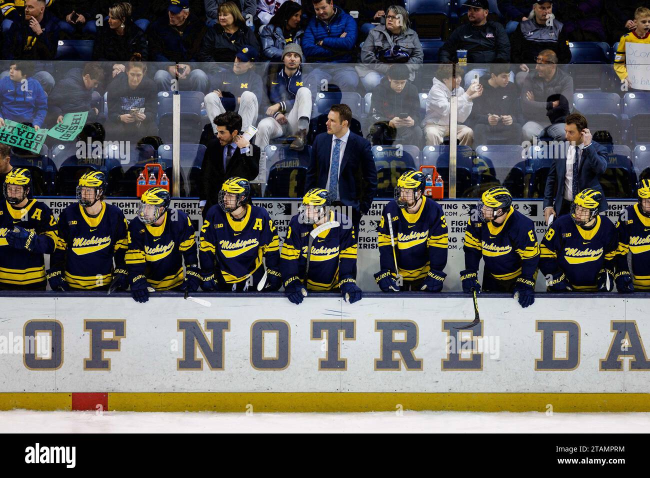South Bend Indiana USA 01st Dec 2023 Michigan Head Coach Brandon south-bend-indiana-usa-01st-dec-2023-michigan-head-coach-brandon