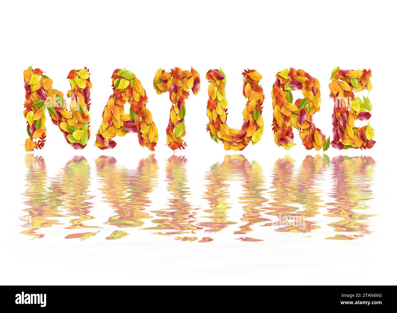 Nature, illustration Stock Photo