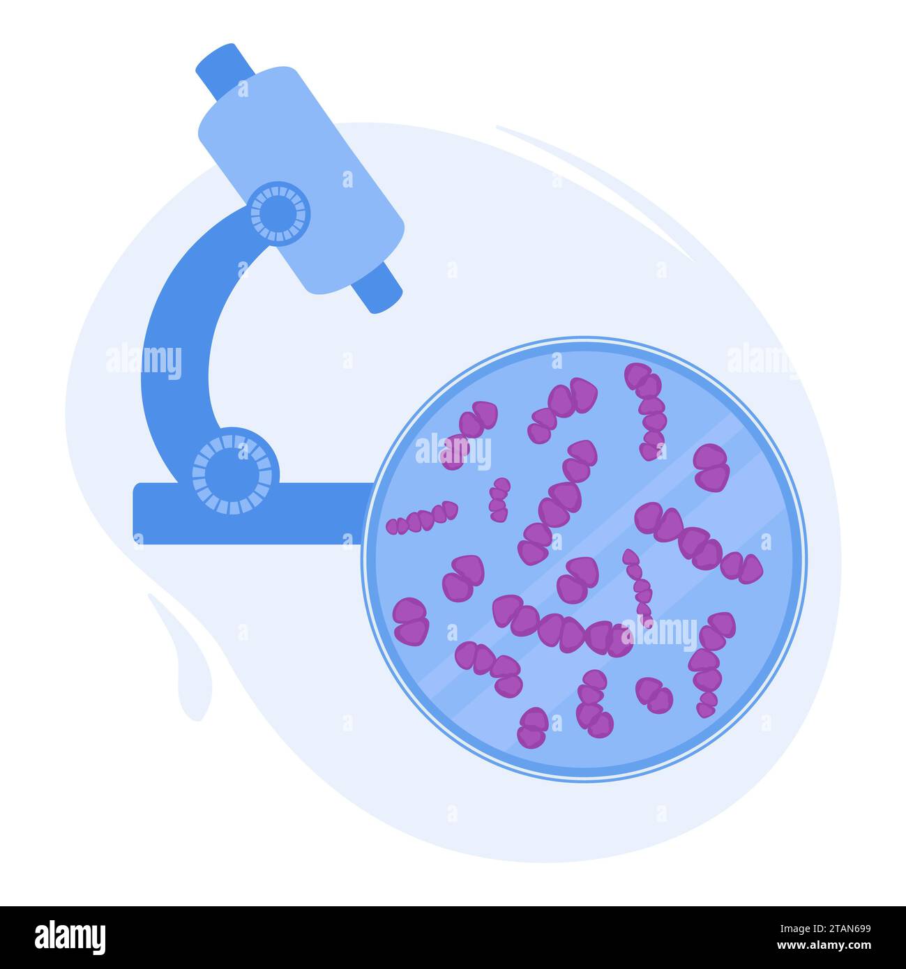 Streptococcus bacteria, conceptual illustration Stock Photo