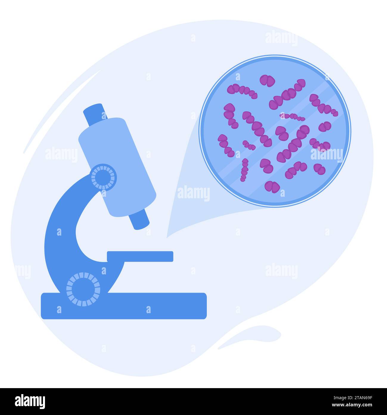 Streptococcus bacteria, conceptual illustration Stock Photo