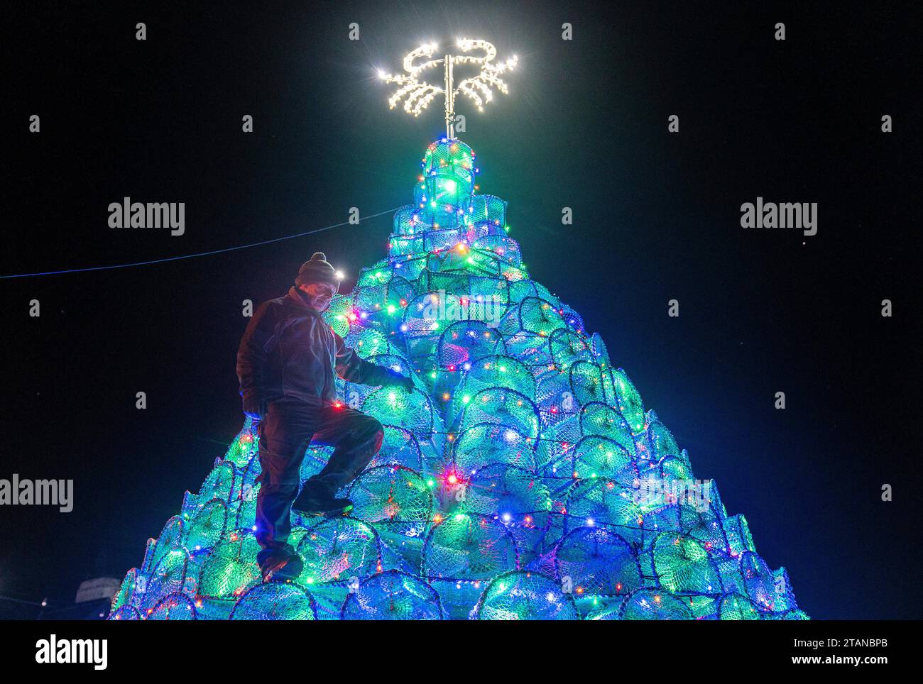 Gordon Wink checks the lights on the fishing creel Christmas tree he helped to design and build on the harbour-side in Ullapool, Wester Ross. Picture date: Friday December 1, 2023. Stock Photo