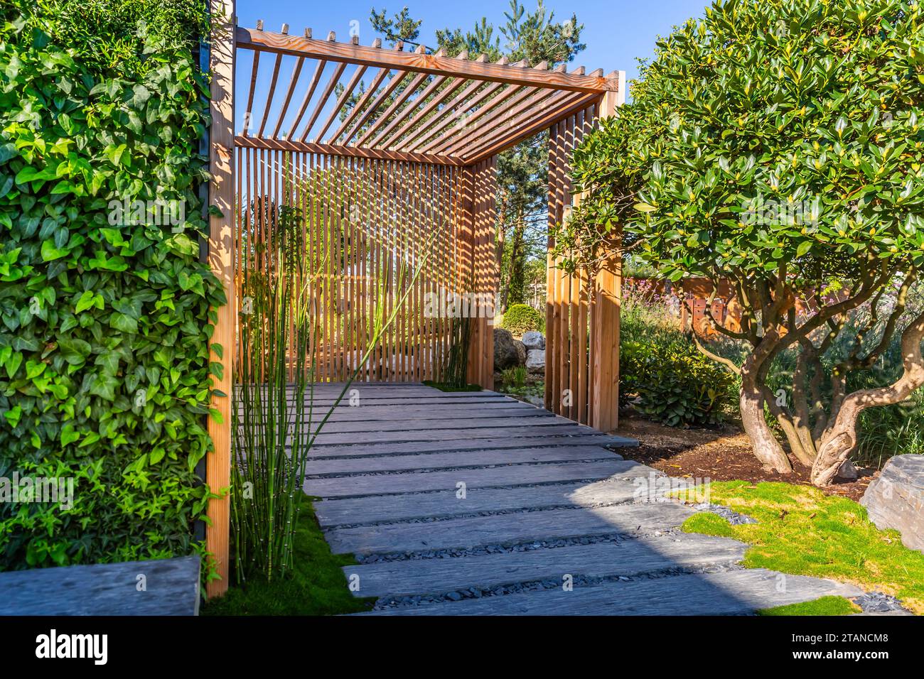 Modern wooden arbor. Modern wooden roofing in courtyard, backyard, terrace or patio Stock Photo