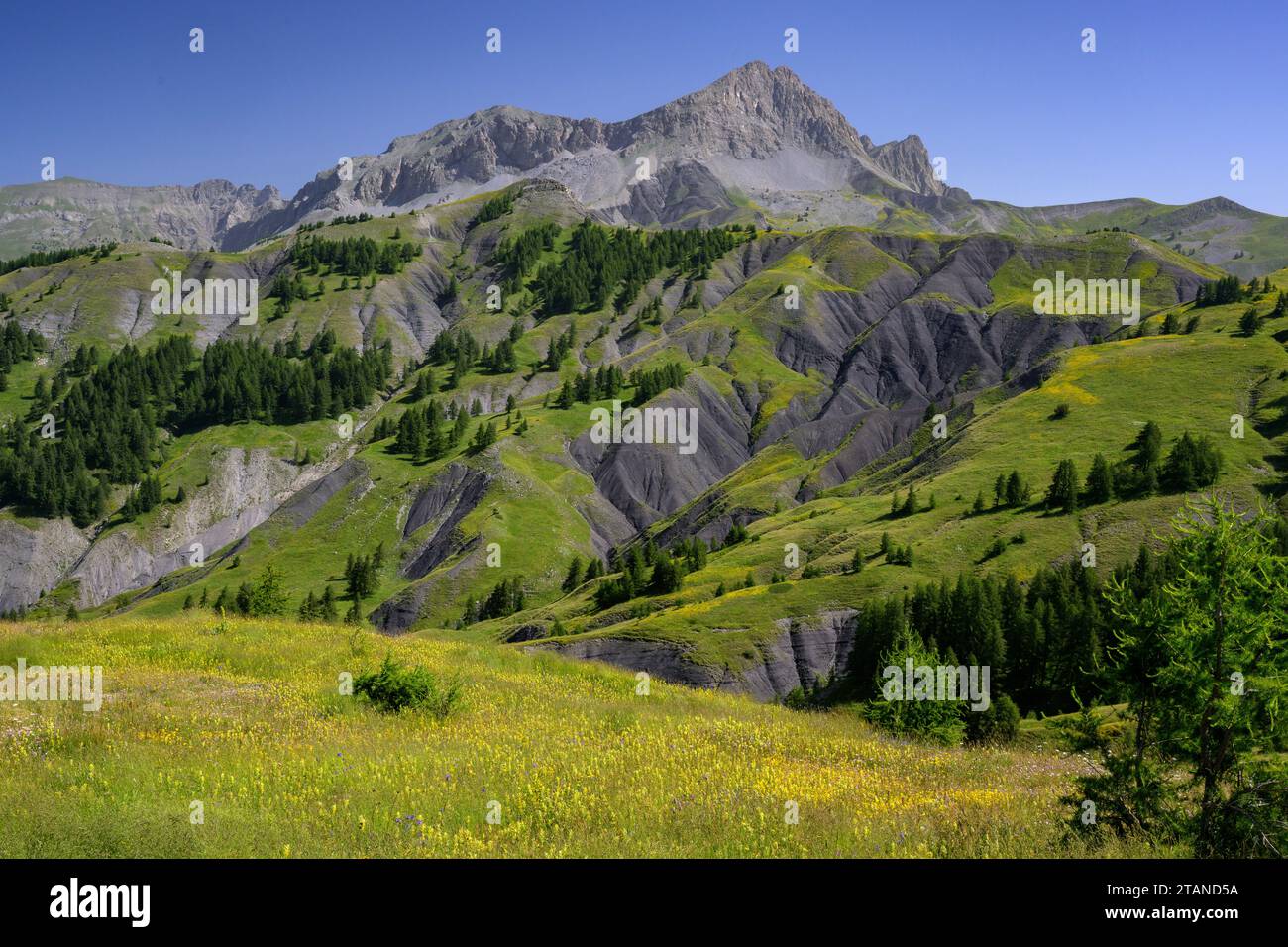 Mountains around the Col des Champs in the Maritime Alps, near Colmars les Alpes, France. Stock Photo
