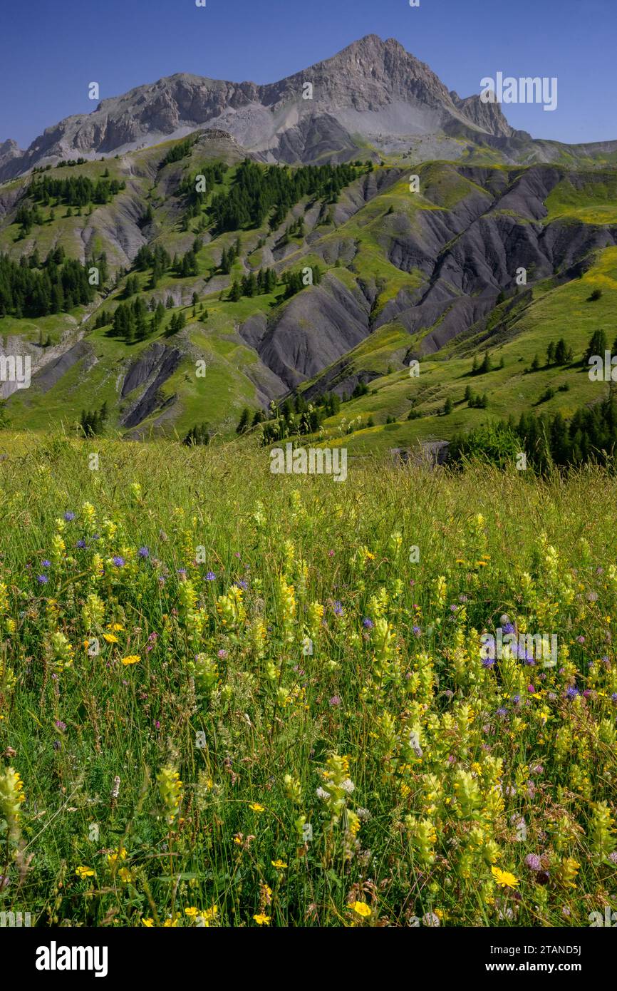 Mountains around the Col des Champs in the Maritime Alps, near Colmars les Alpes, France. Stock Photo