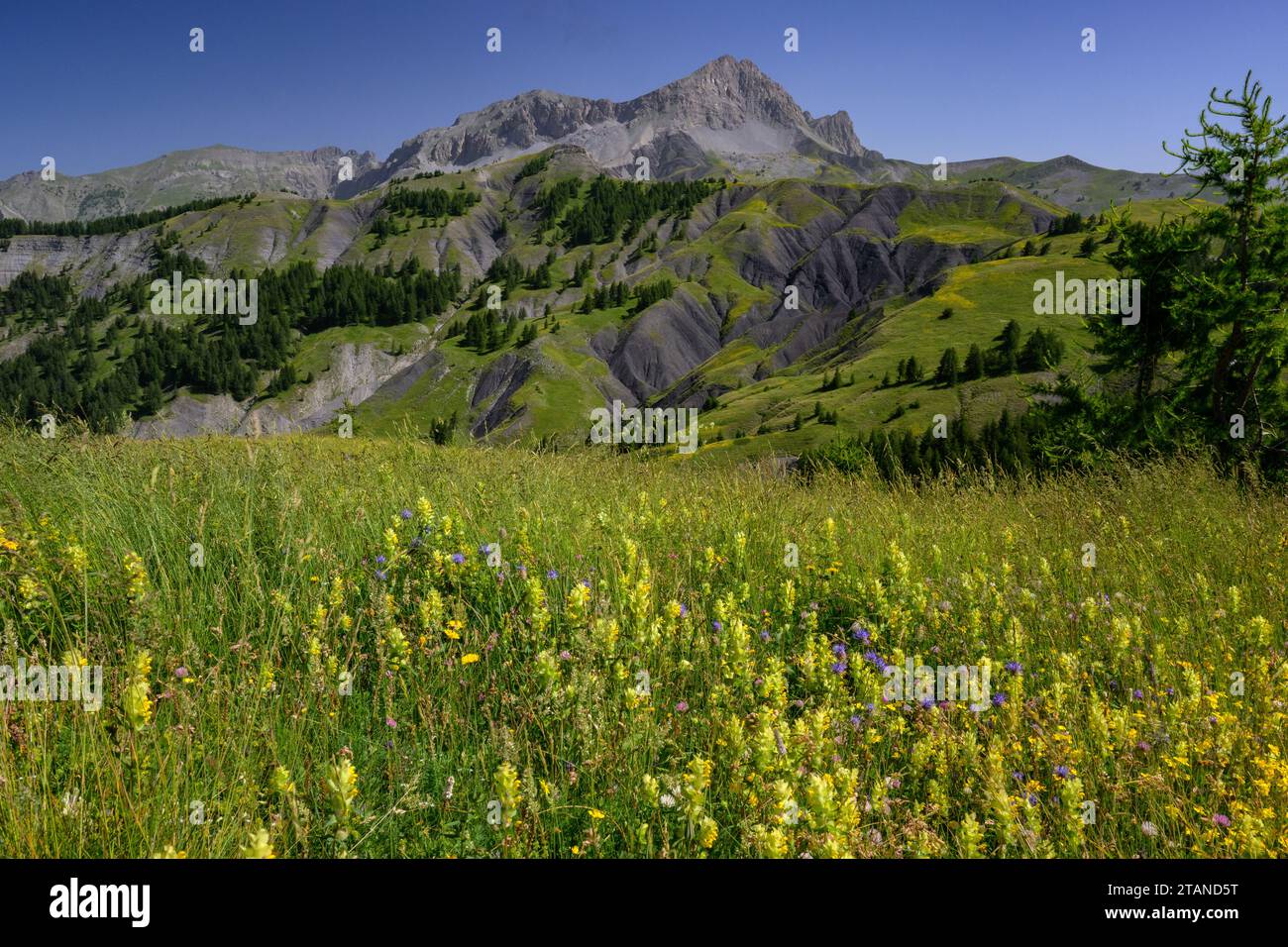 Mountains around the Col des Champs in the Maritime Alps, near Colmars les Alpes, France. Stock Photo
