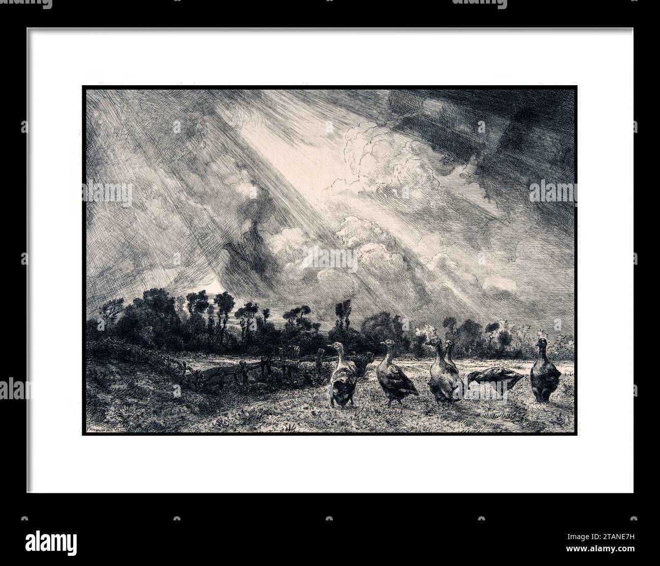 La Nuйe d'orage Fйlix Bracquemond (French, Paris 1833-1914 Sиvres) Date: 1882-84 Etching, drypoint; second state of eleven Sheet: 11 in. Ч 15 13/16 in Stock Photo