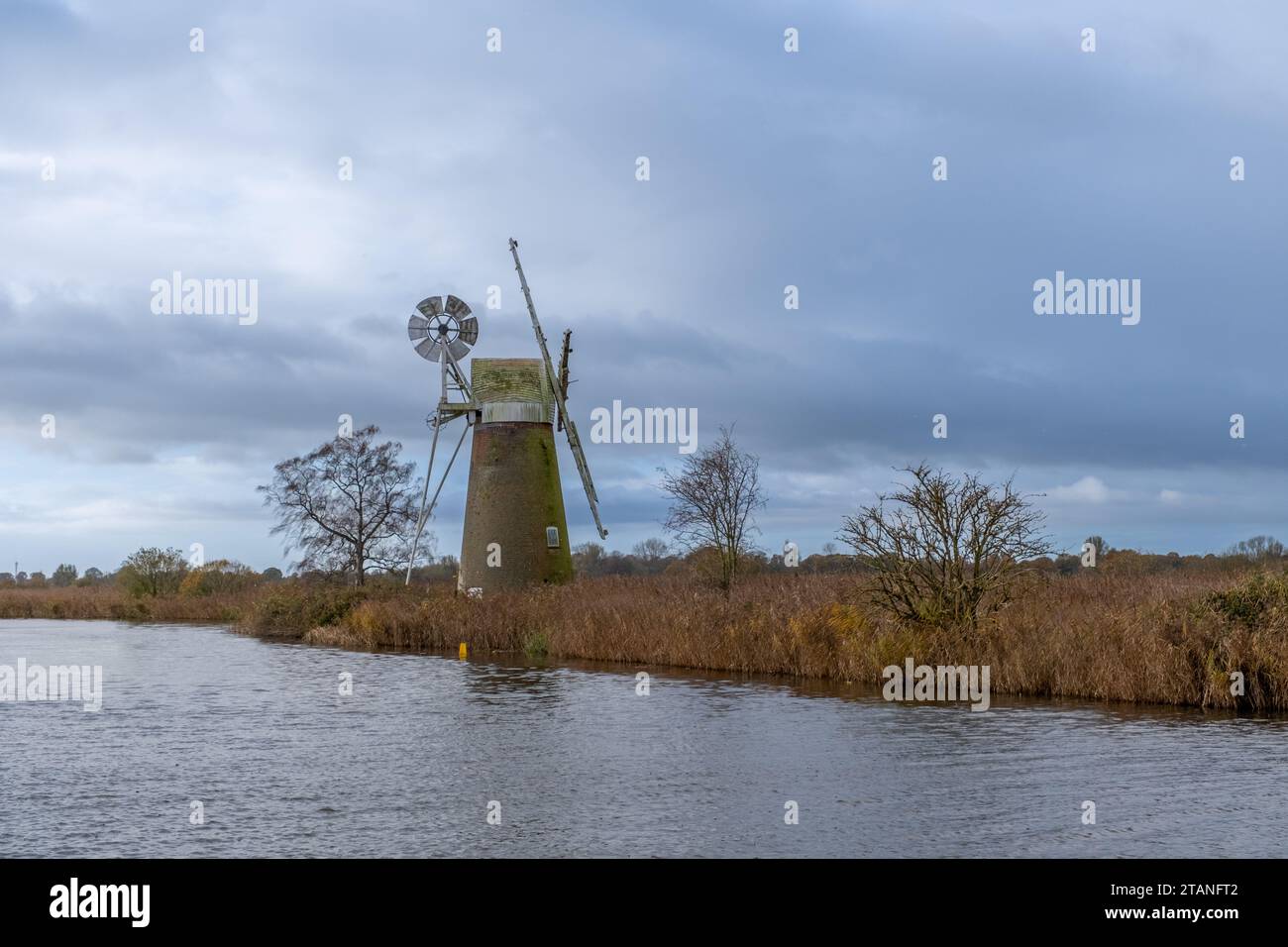 Abandoned drainage mill in the reeds on the bank of the River Ant ...