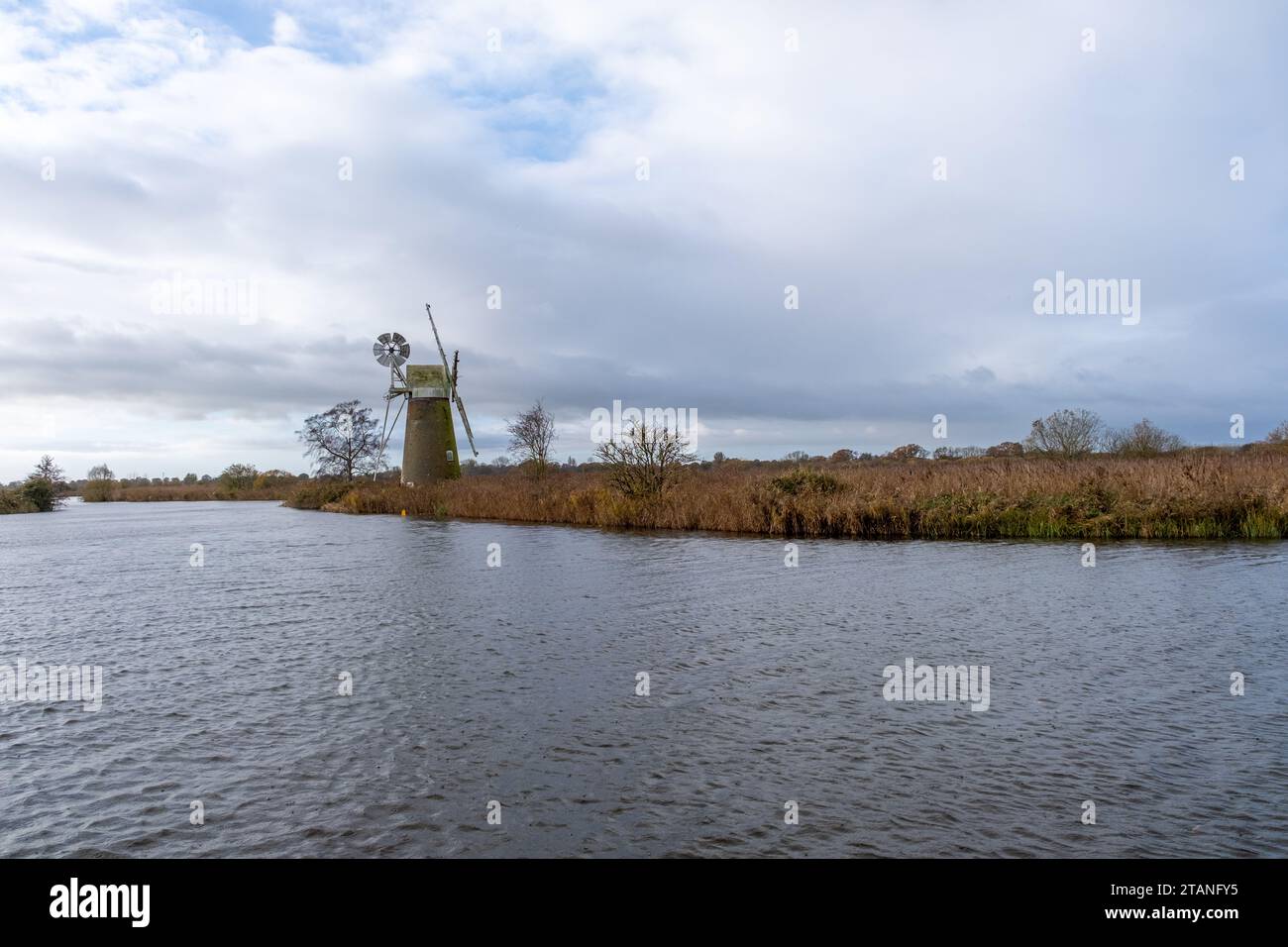 Abandoned drainage mill in the reeds on the bank of the River Ant ...