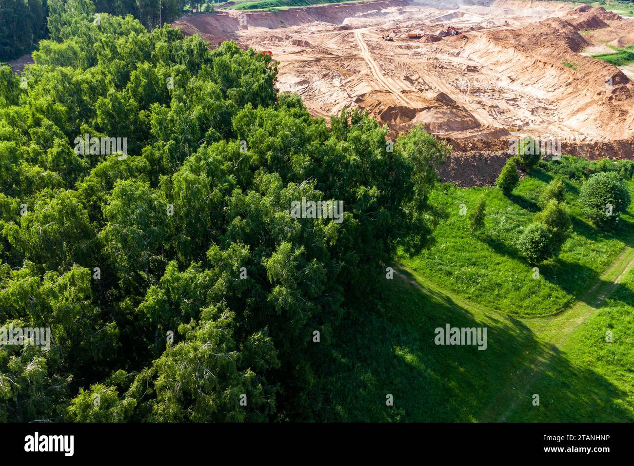 View of a birch grove next to a sand quarry being developed, destruction of nature Stock Photo