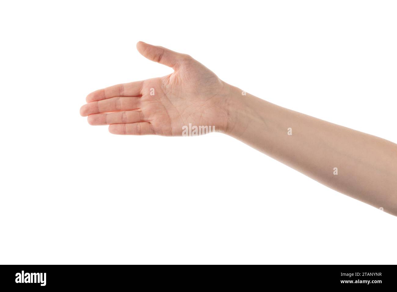 Young woman hand for handshake isolated on white background Stock Photo ...