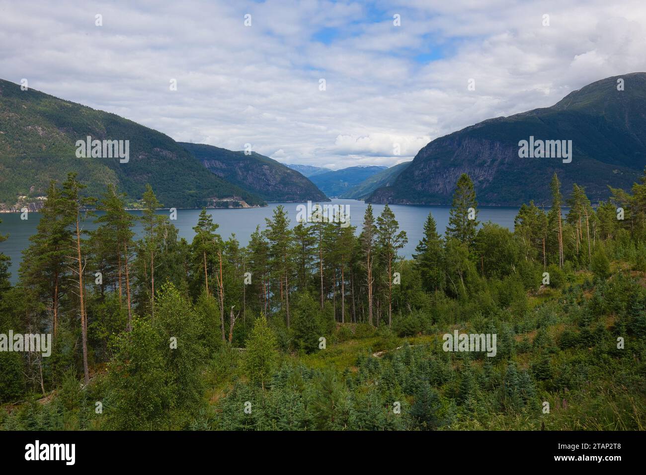 Landscape at the Hardangerfjord near Utne in Norway. Stock Photo
