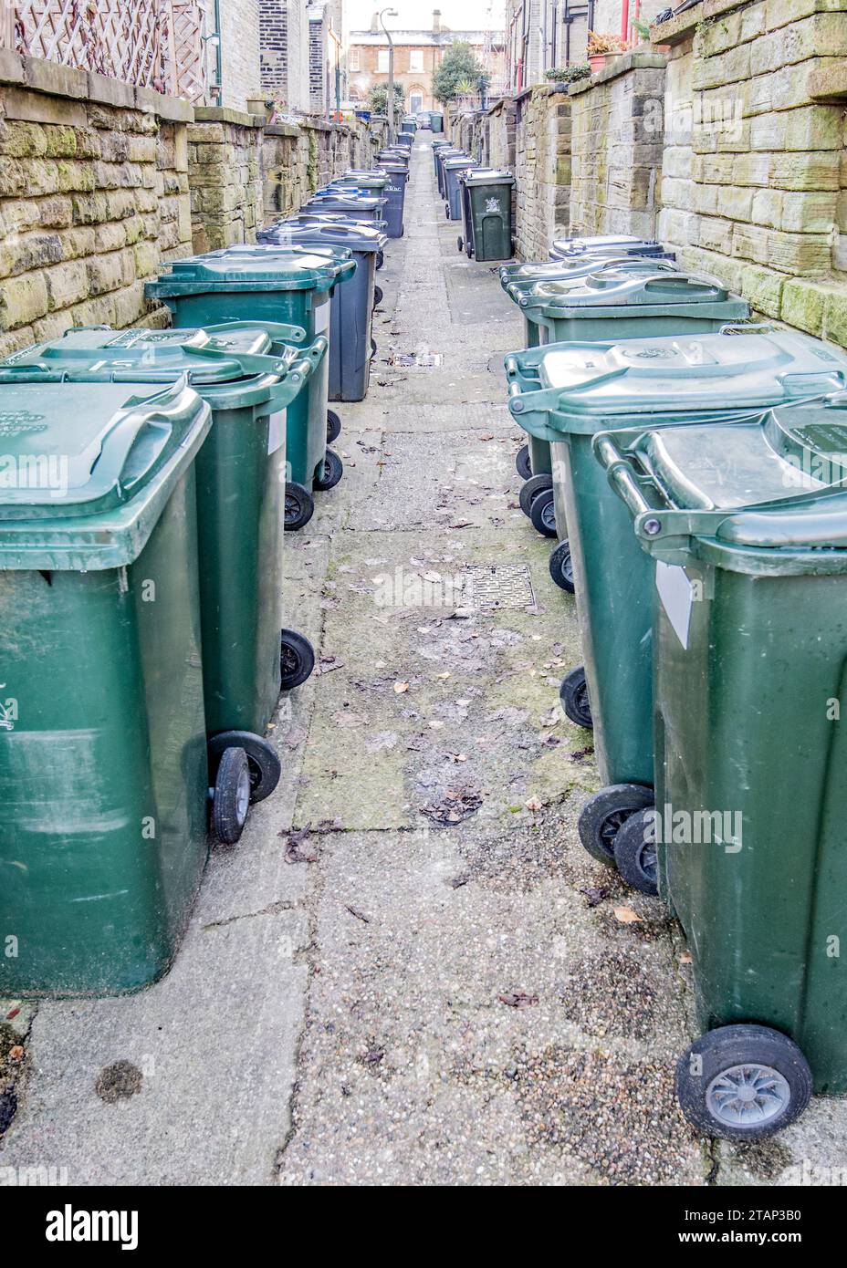 Bins in the back alley between terraced properties at the model village