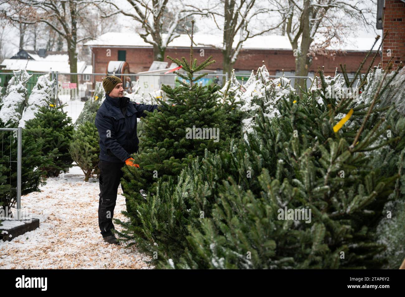 Reppenstedt, Germany. 02nd Dec, 2023. René Pöggel checks a Christmas