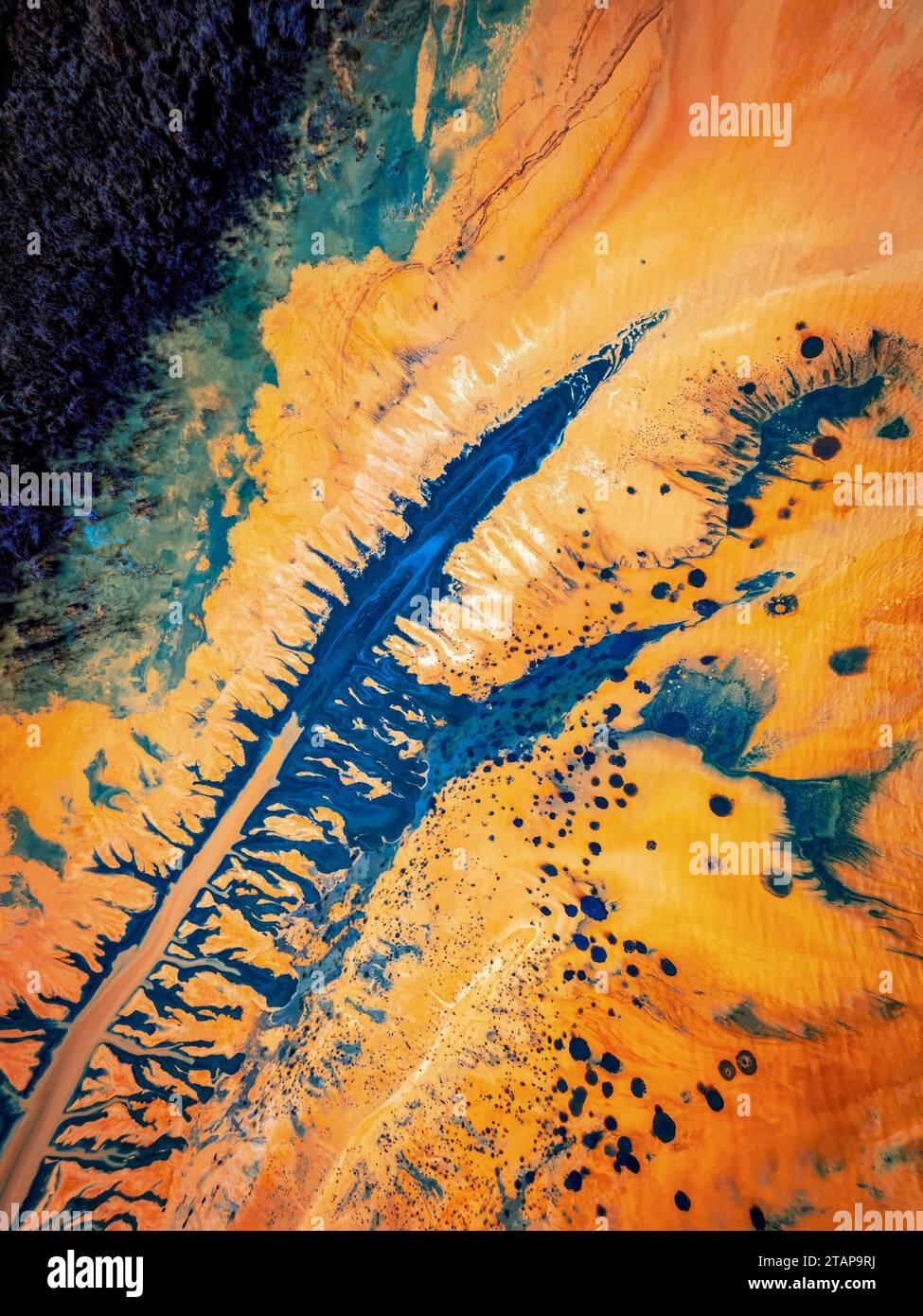 Claw prints hi-res stock photography and images - Alamy