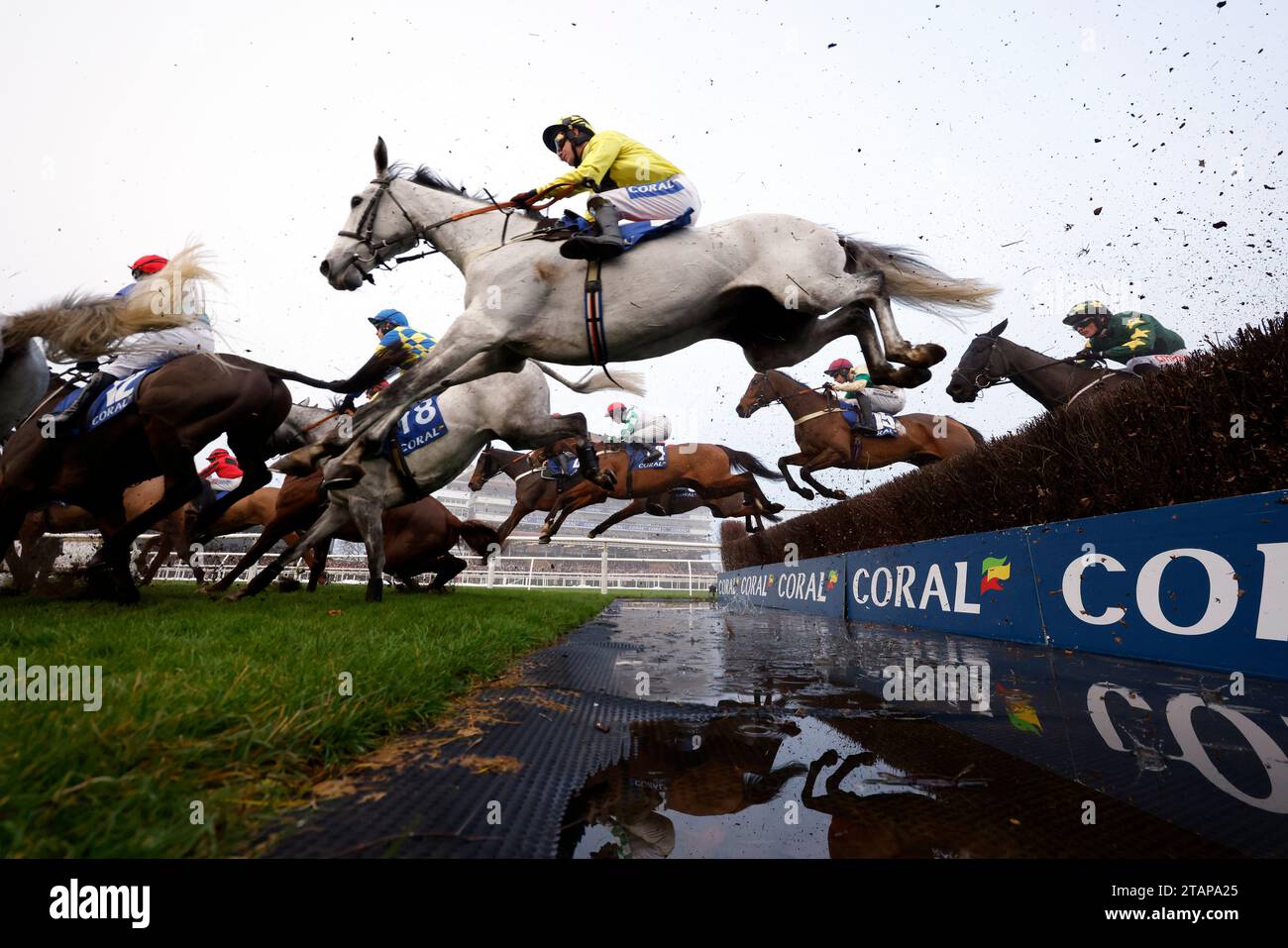 Runners and riders during the Coral Gold Cup Handicap Chase on Coral