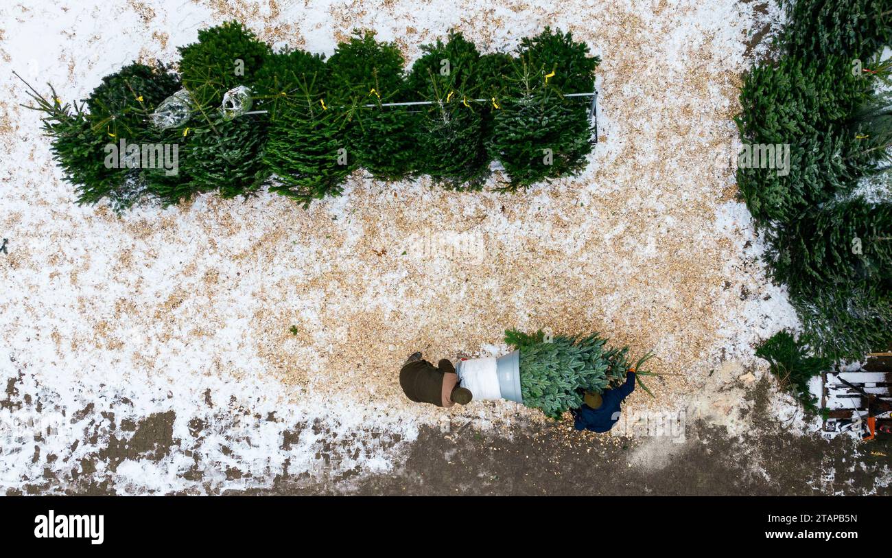 Reppenstedt, Germany. 02nd Dec, 2023. Two employees pack a Christmas