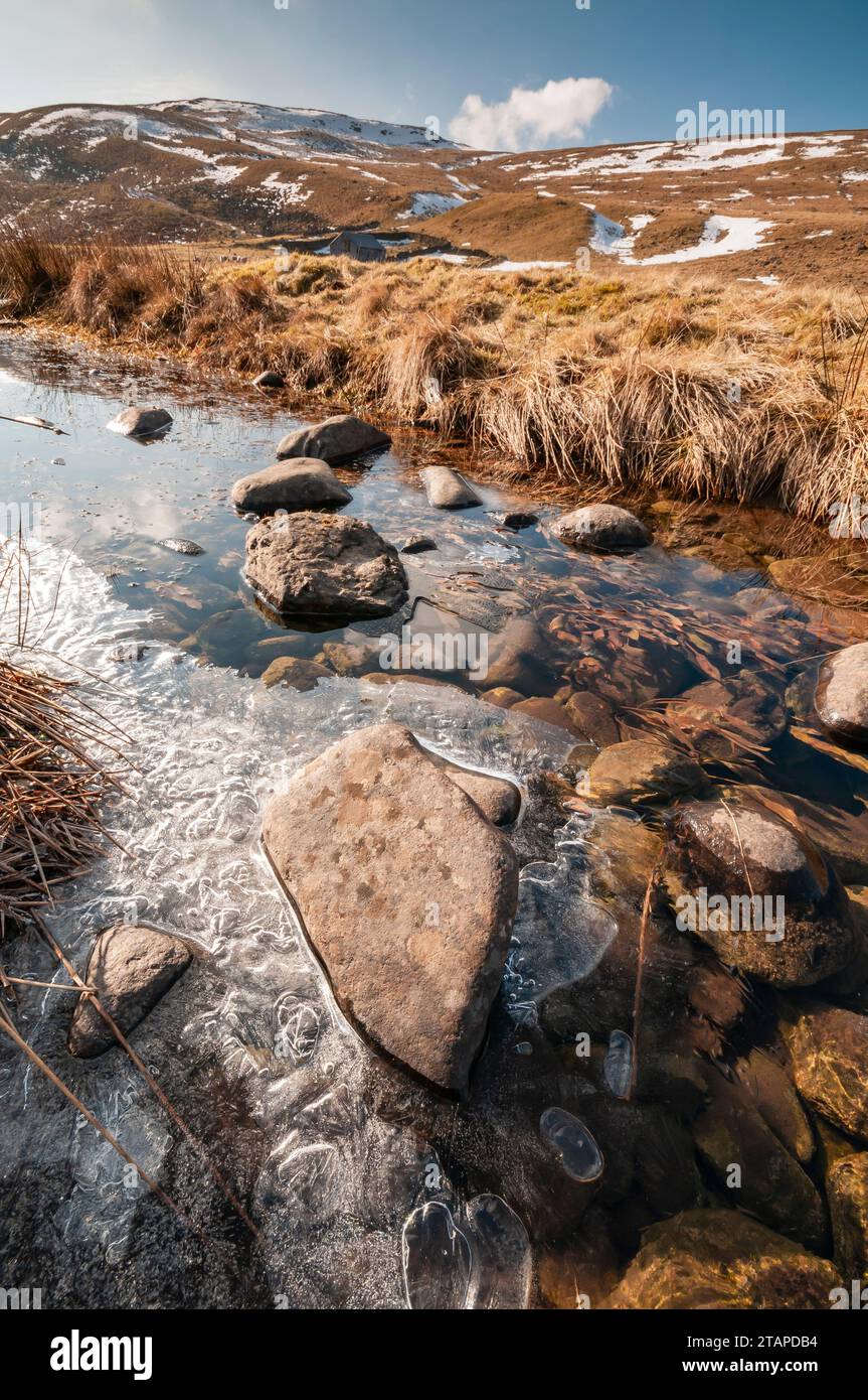 Ice patterns are melting in an upland stream in Teesdale, North Pennines, Co Durham, February Stock Photo