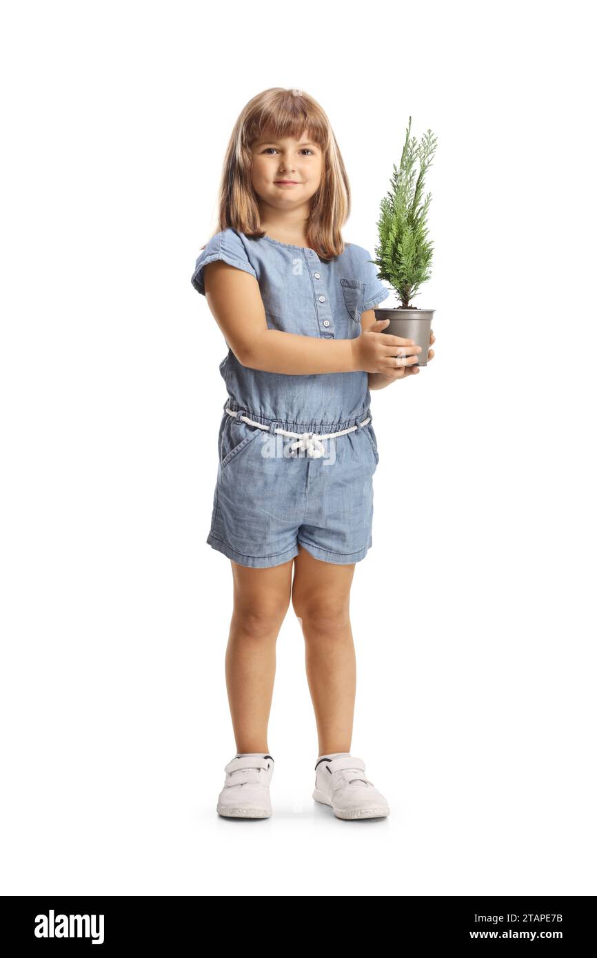 Full length portrait of a little girl holding a small evergreen tree in a pot isolated on white background Stock Photo