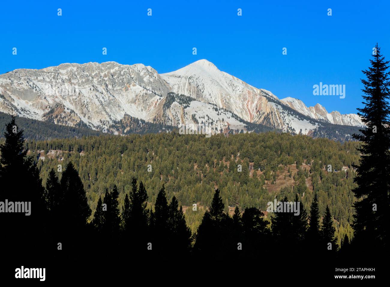 sacagawea peak in the bridger range near bozeman, montana Stock Photo