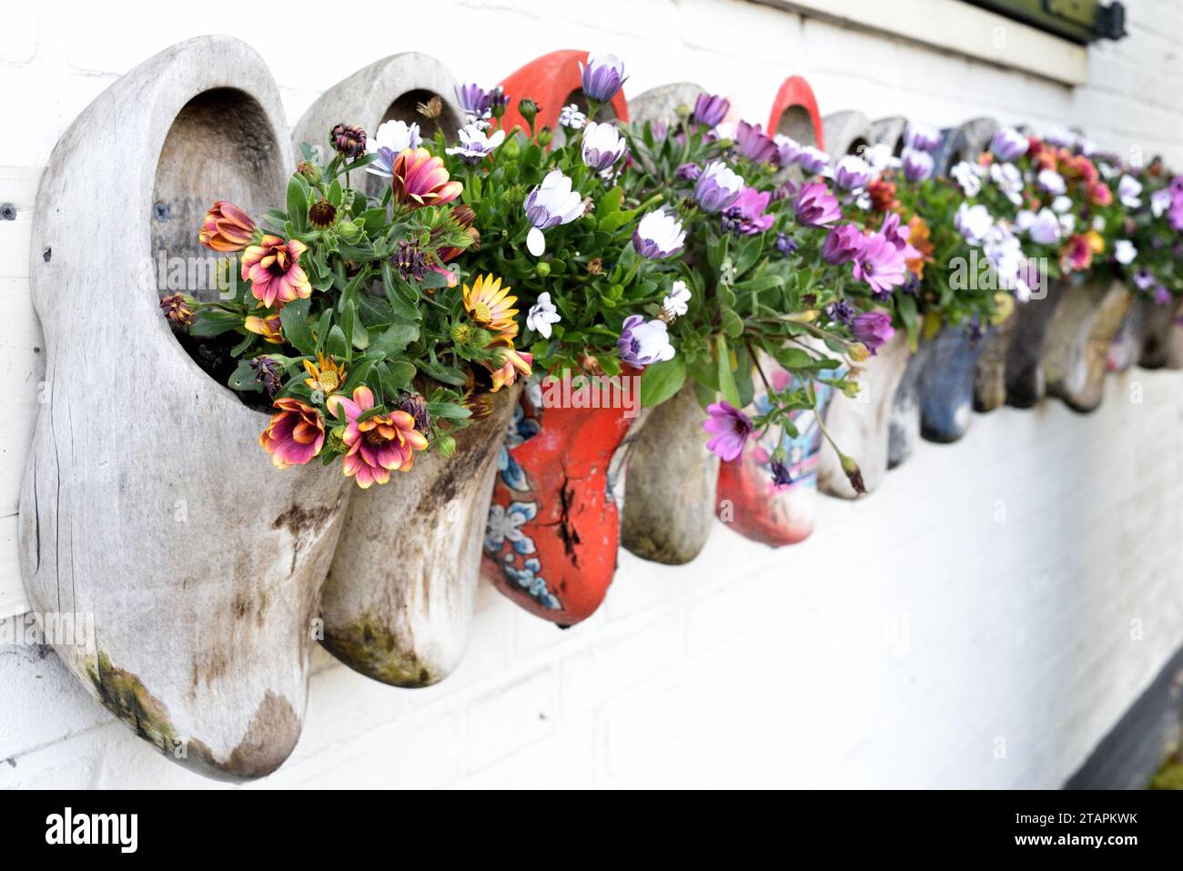 An array of traditional wooden clogs arranged in a line on a wall with flowers Stock Photo