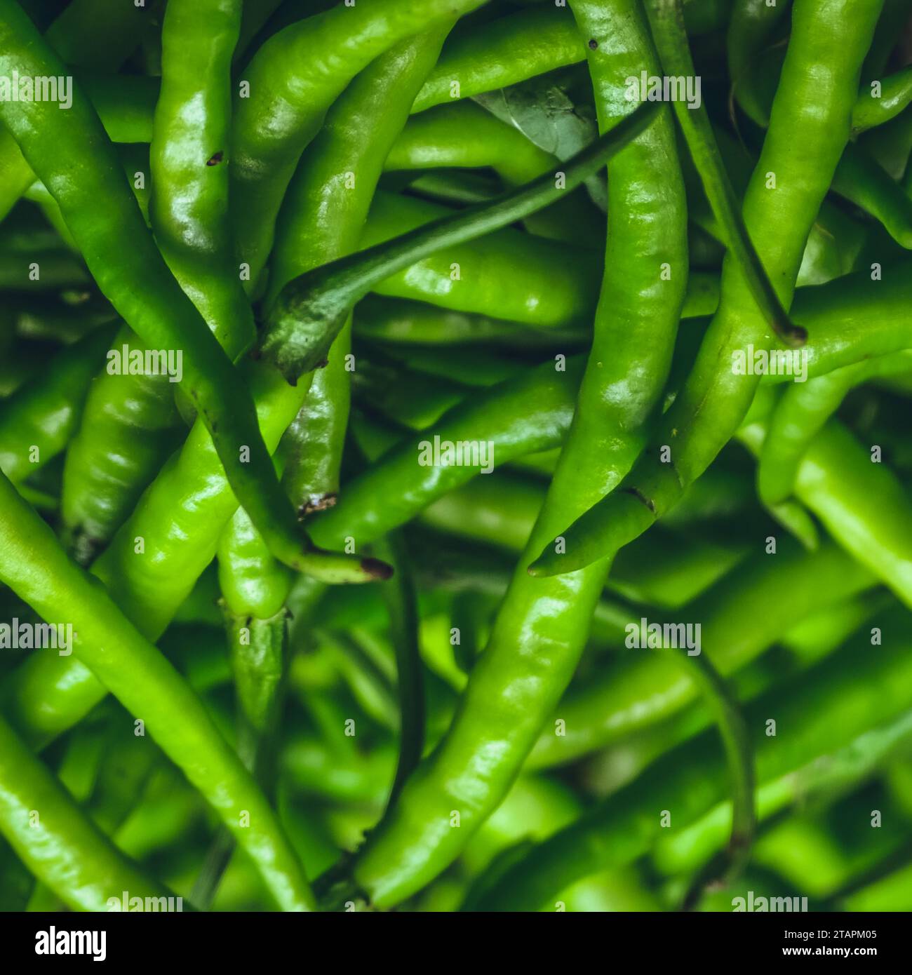 Green chilli wallpaper hi-res stock photography and images - Alamy